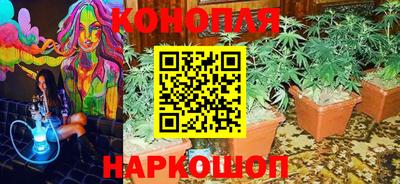 ГАЛЛЮЦИНОГЕННЫЕ ГРИБЫ Новозыбков