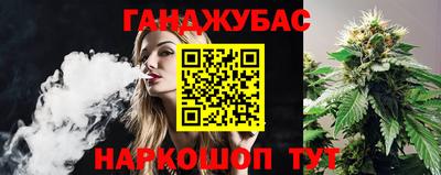 ГАЛЛЮЦИНОГЕННЫЕ ГРИБЫ Новозыбков