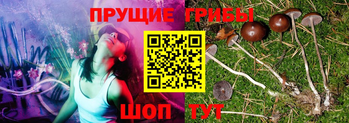 Псилоцибиновые грибы Magic Shrooms  Галлюциногенные грибы Magic Shrooms  Чехов  Вход с VPN 