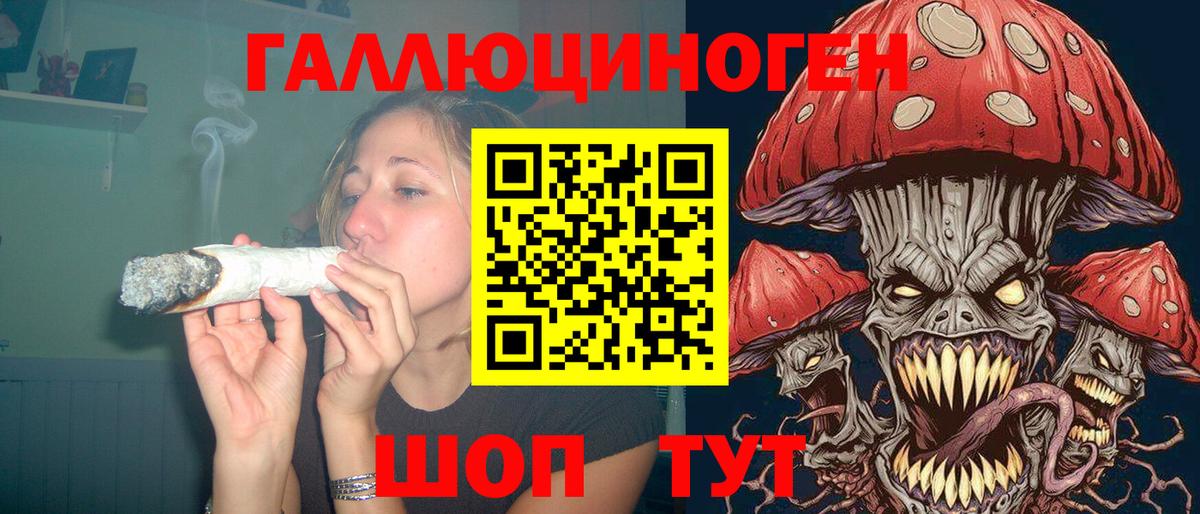 Галлюциногенные грибы Cubensis Чехов